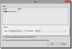 Caixa de diálogo Get Specific Version com a opção Workspace Version selecionada